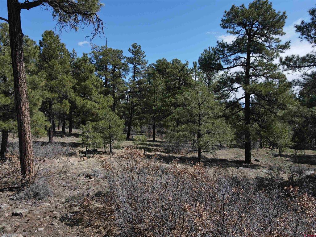 233 Martinez Place Pagosa Springs CO 81147