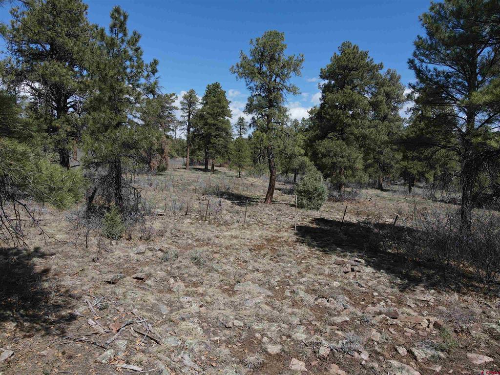 233 Martinez Place Pagosa Springs CO 81147