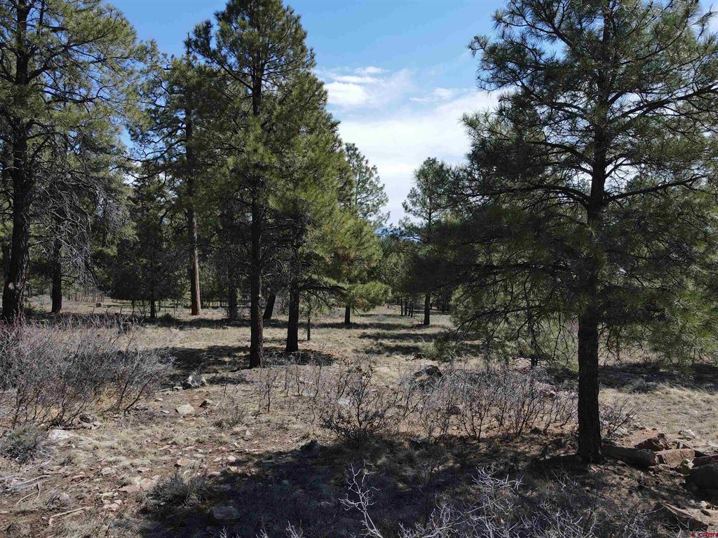 233 Martinez Place Pagosa Springs CO 81147