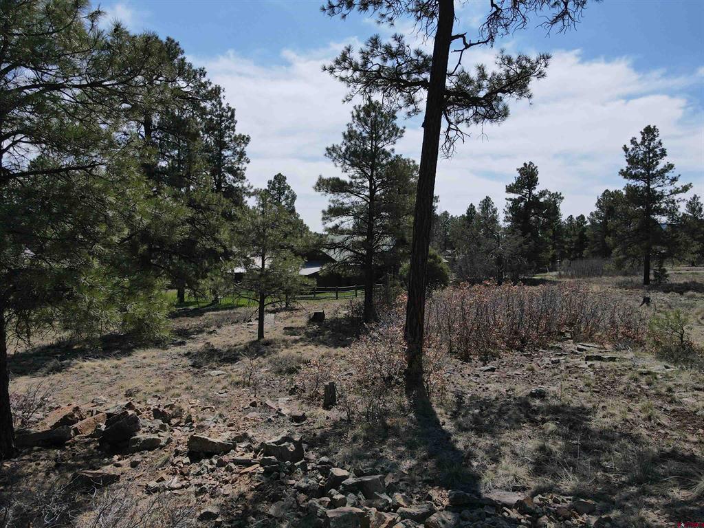 233 Martinez Place Pagosa Springs CO 81147