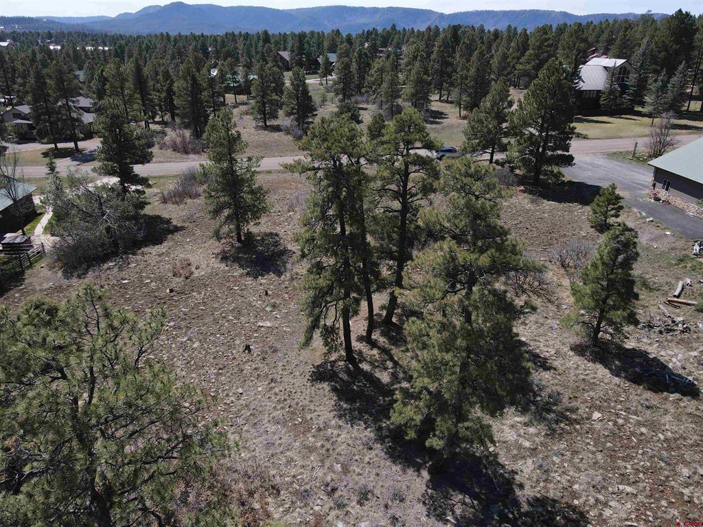 233 Martinez Place Pagosa Springs CO 81147
