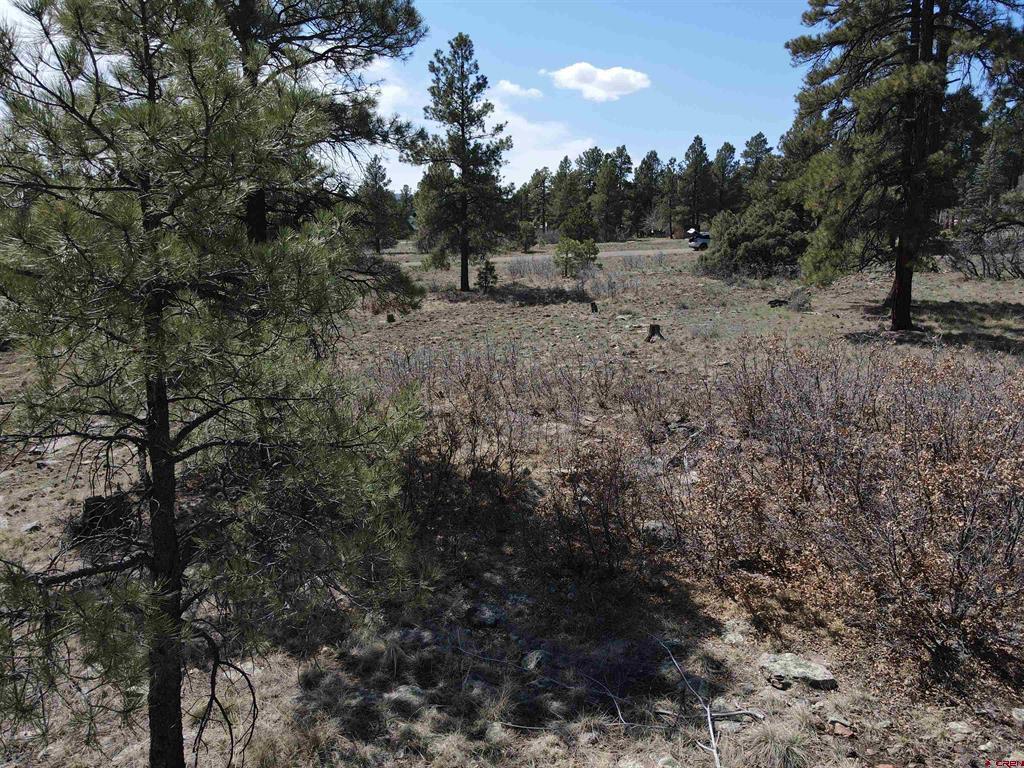 233 Martinez Place Pagosa Springs CO 81147