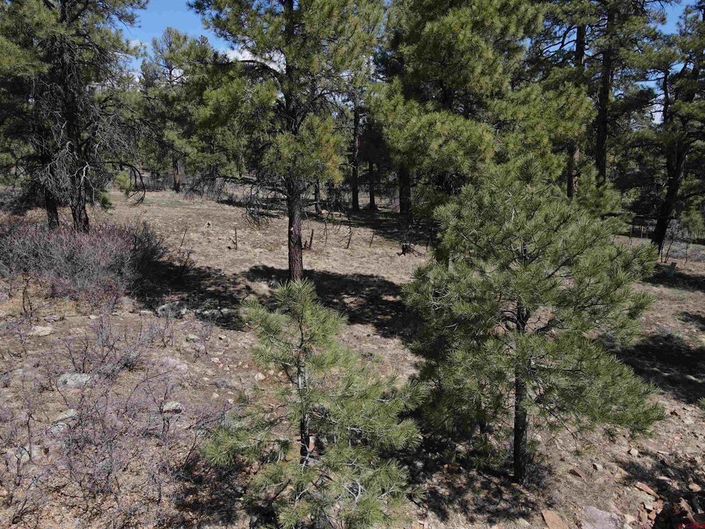 233 Martinez Place Pagosa Springs CO 81147