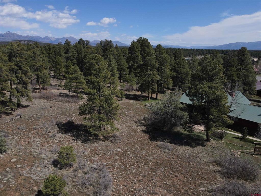 233 Martinez Place Pagosa Springs CO 81147