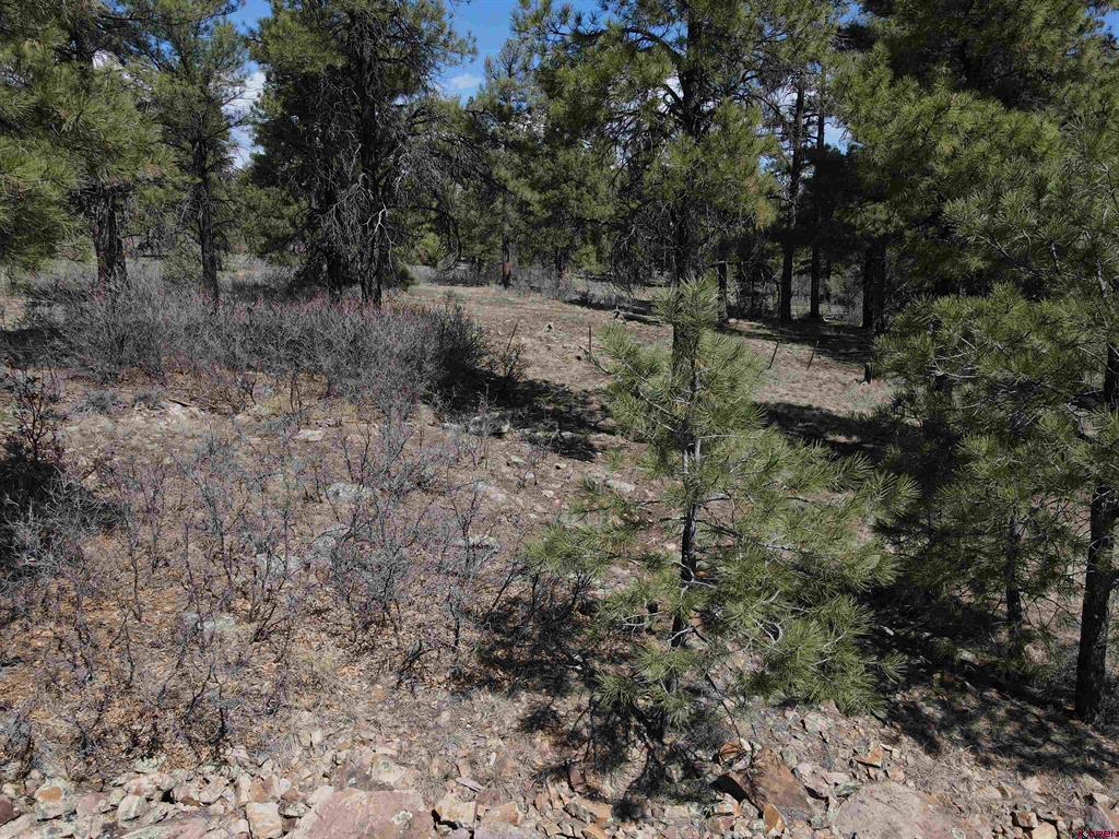 233 Martinez Place Pagosa Springs CO 81147
