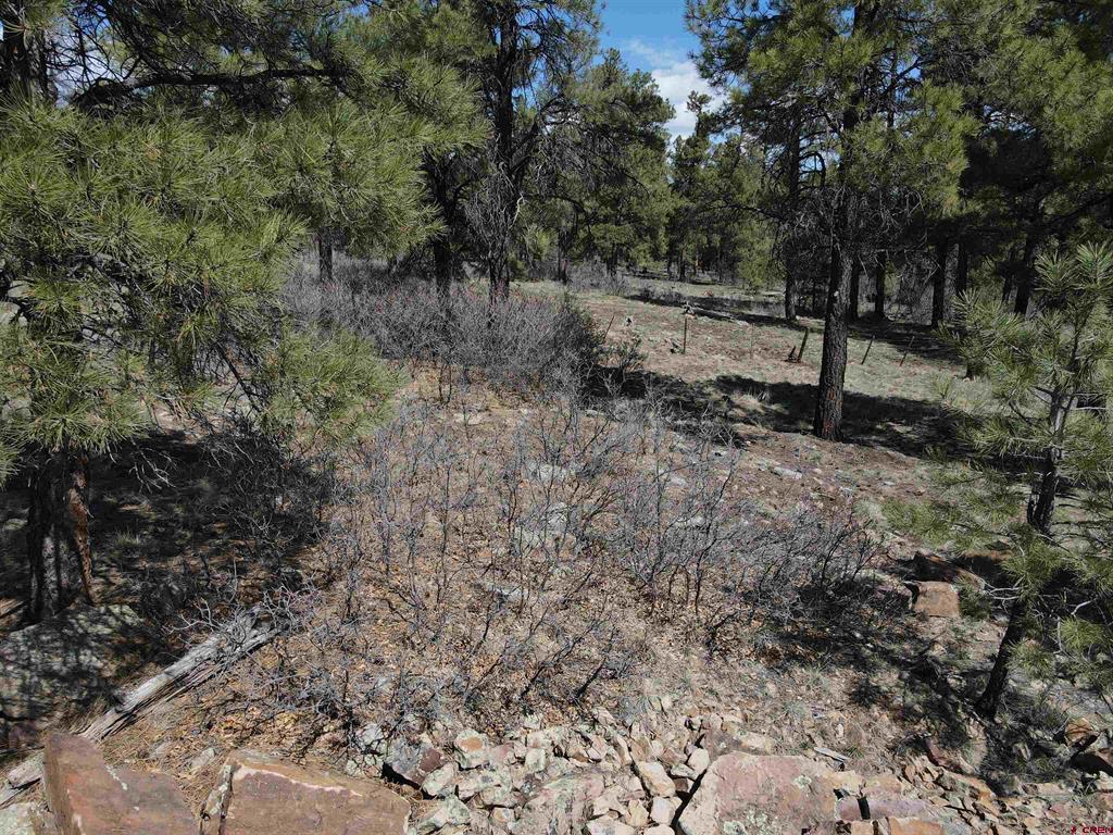 233 Martinez Place Pagosa Springs CO 81147