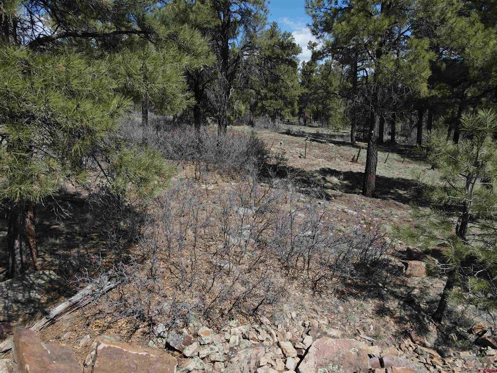 233 Martinez Place Pagosa Springs CO 81147