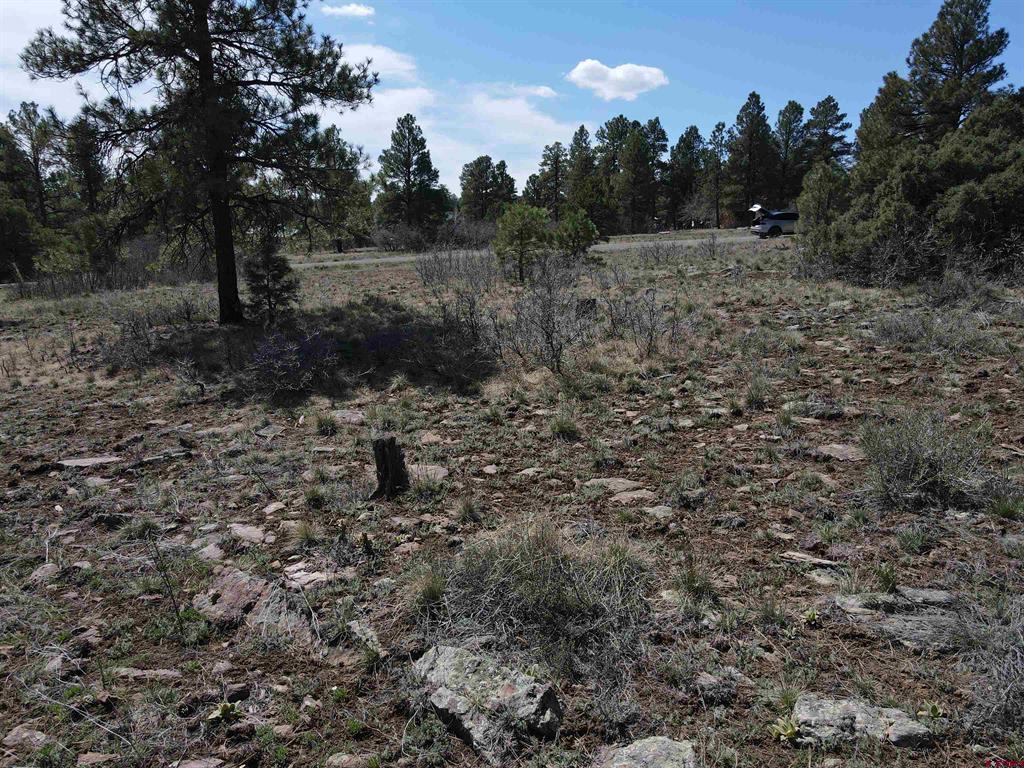 233 Martinez Place Pagosa Springs CO 81147