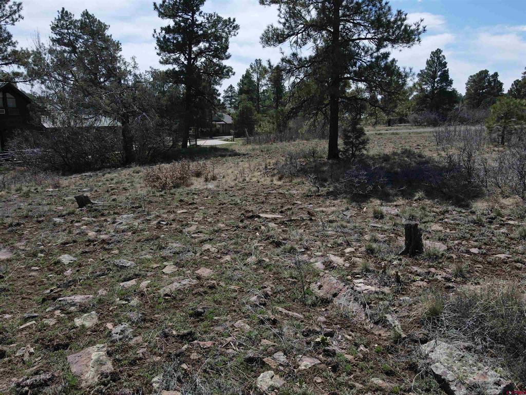 233 Martinez Place Pagosa Springs CO 81147