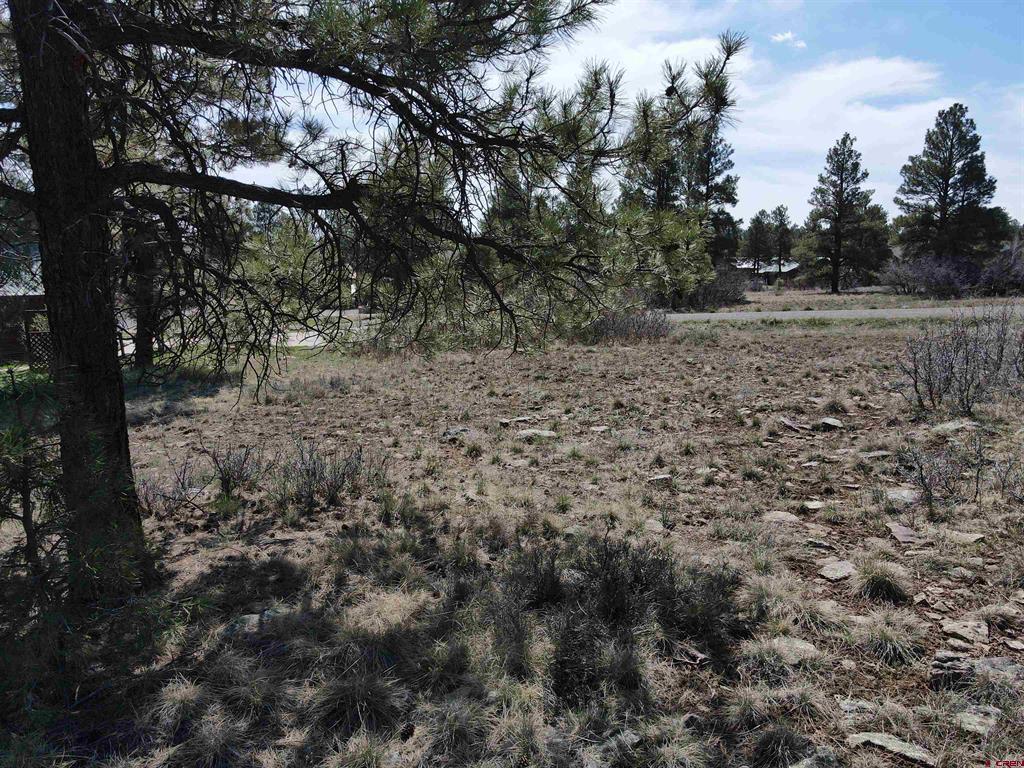 233 Martinez Place Pagosa Springs CO 81147