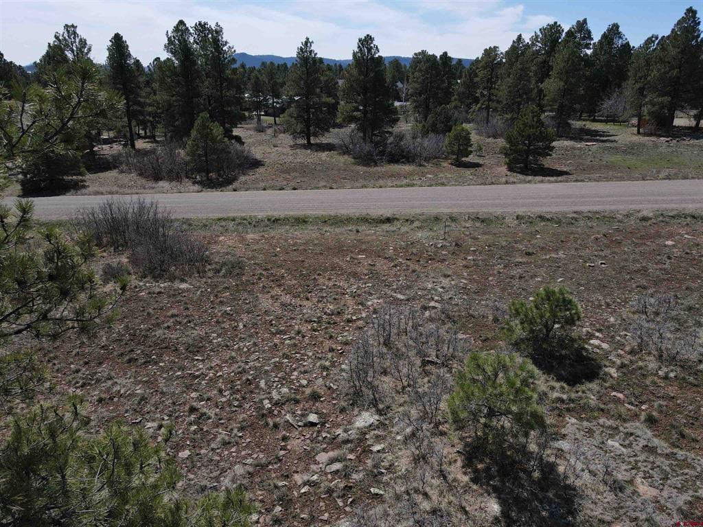 233 Martinez Place Pagosa Springs CO 81147