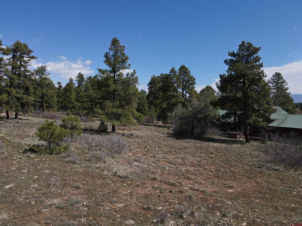 233 Martinez Place Pagosa Springs CO 81147