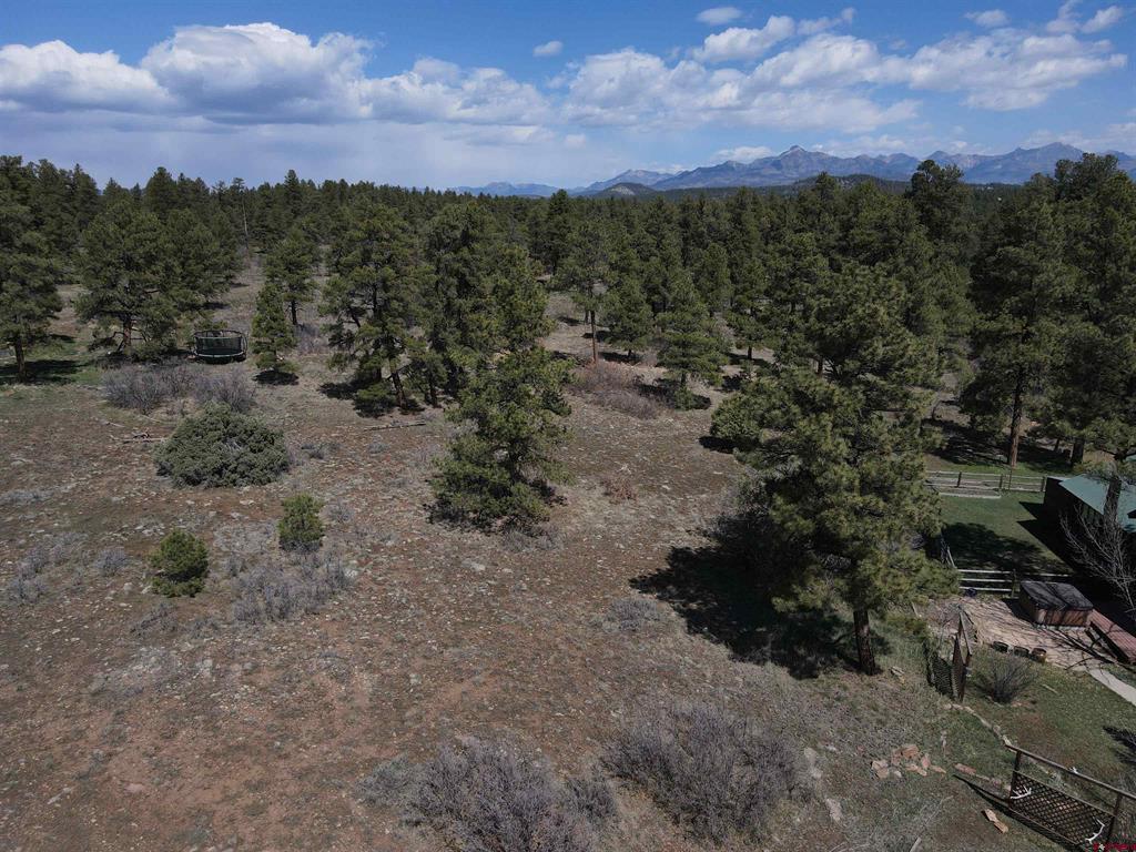 233 Martinez Place Pagosa Springs CO 81147