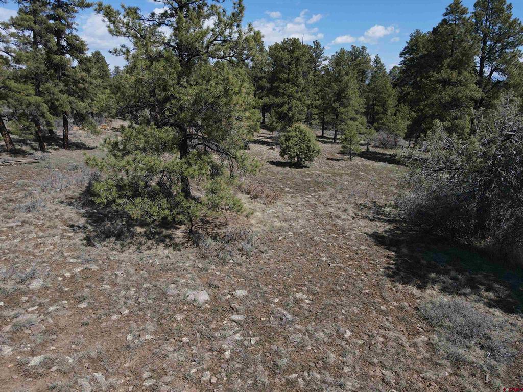 233 Martinez Place Pagosa Springs CO 81147