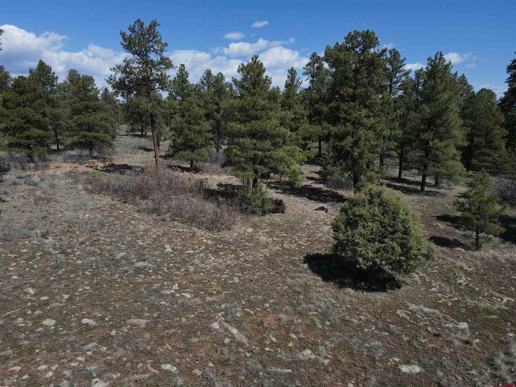 233 Martinez Place Pagosa Springs CO 81147