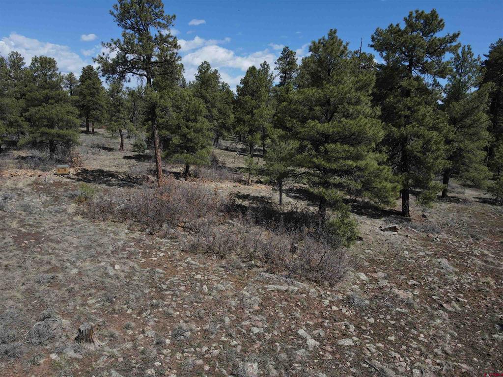 233 Martinez Place Pagosa Springs CO 81147