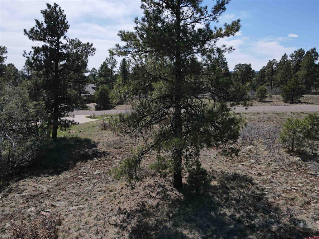 233 Martinez Place Pagosa Springs CO 81147