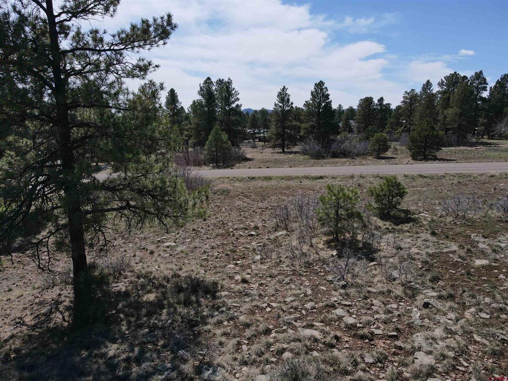 233 Martinez Place Pagosa Springs CO 81147