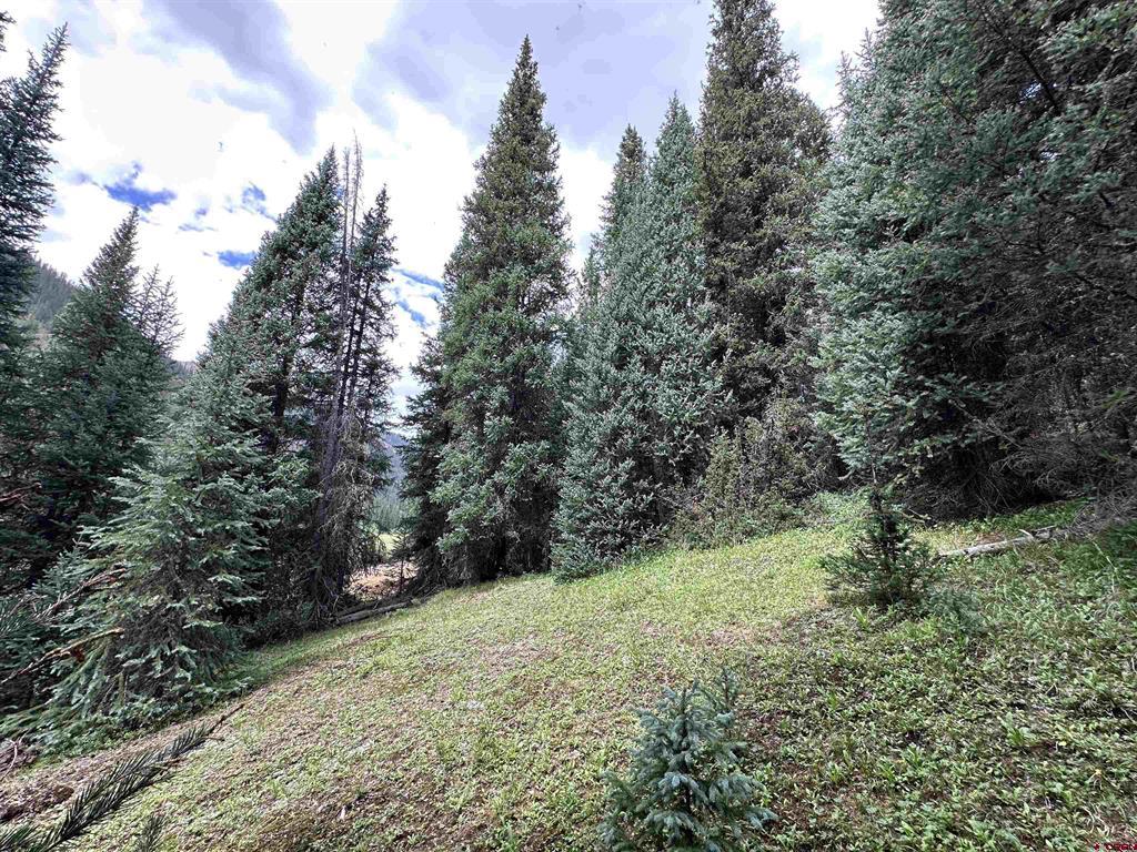 Lot 5 Overland Estates, Cr 110 Silverton CO 81433
