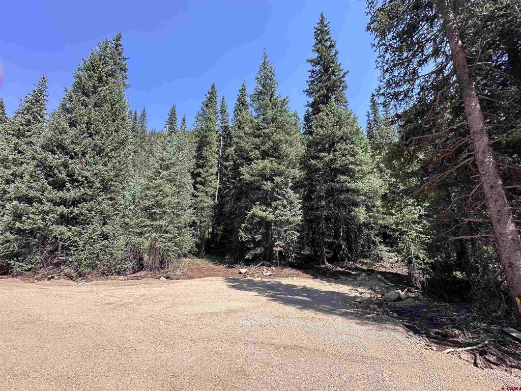 Lot 5 Overland Estates, Cr 110 Silverton CO 81433