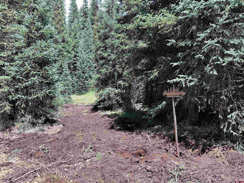 Lot 5 Overland Estates, Cr 110 Silverton CO 81433
