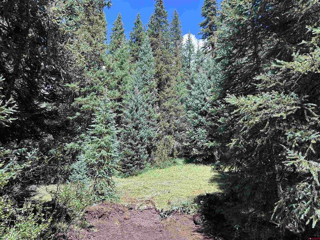Lot 5 Overland Estates, Cr 110 Silverton CO 81433