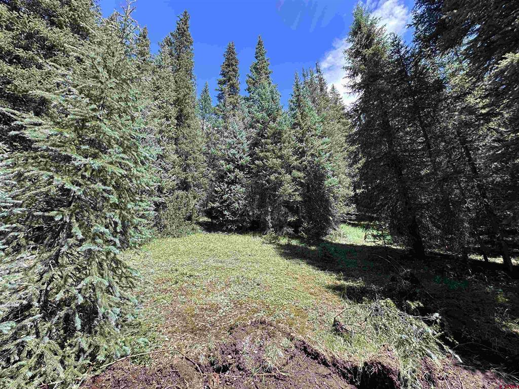 Lot 5 Overland Estates, Cr 110 Silverton CO 81433