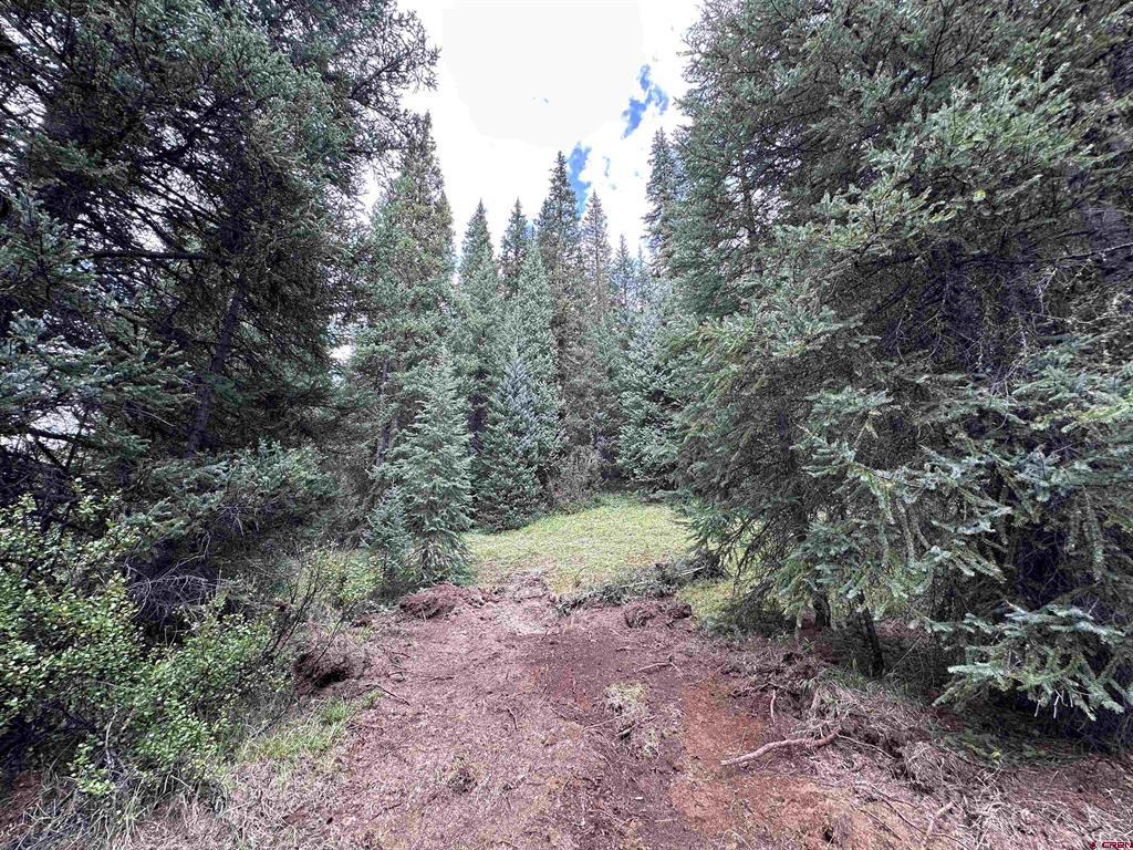 Lot 5 Overland Estates, Cr 110 Silverton CO 81433