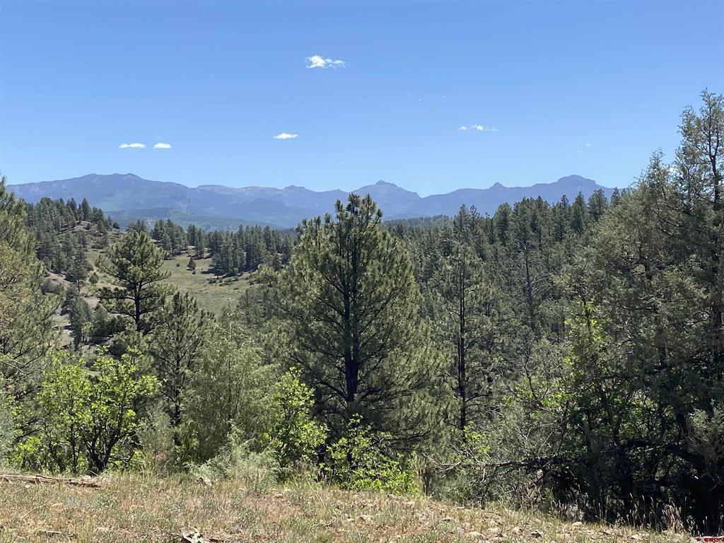 X Cr 200 Pagosa Springs CO 81147