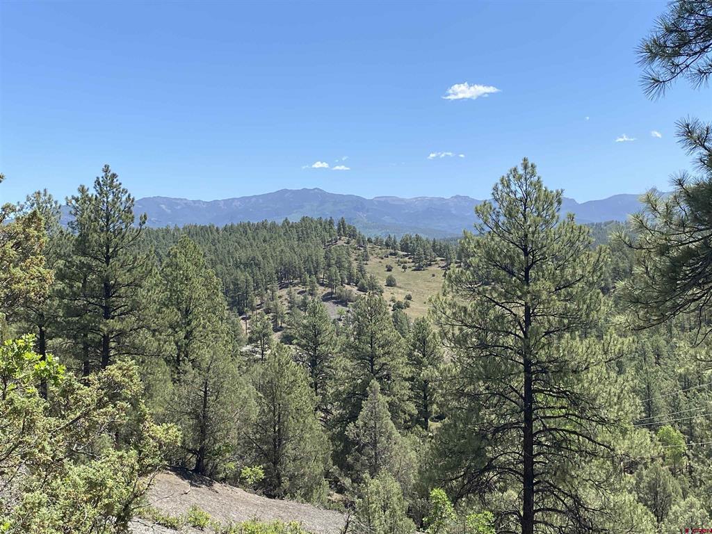 X Cr 200 Pagosa Springs CO 81147