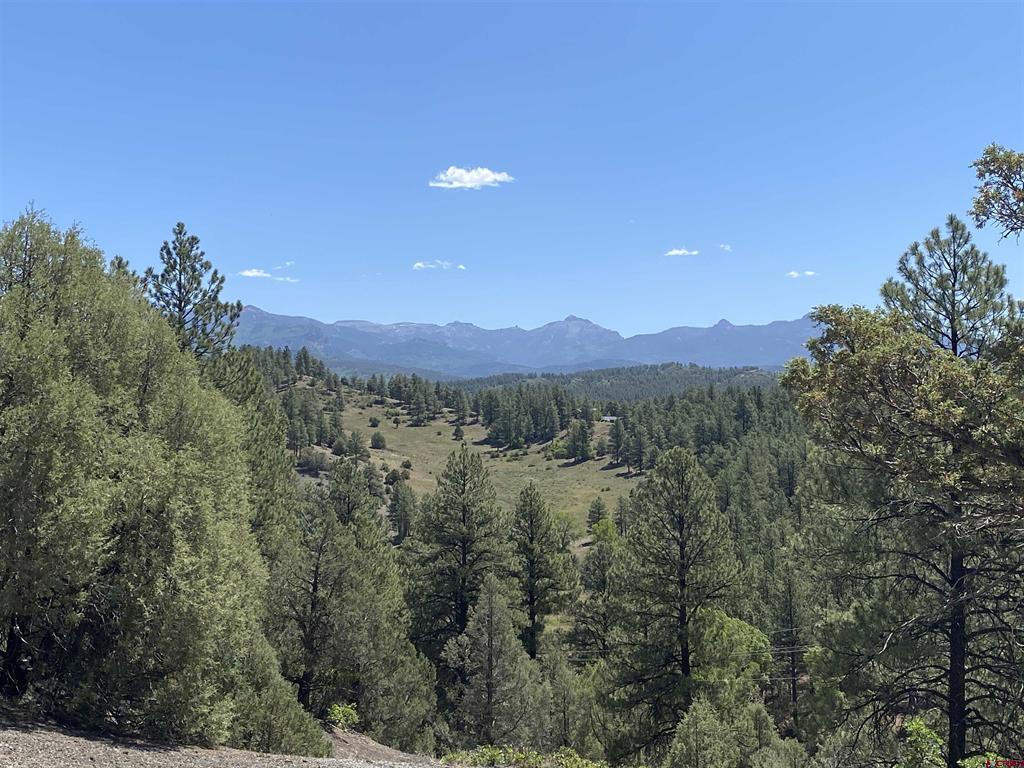 X Cr 200 Pagosa Springs CO 81147