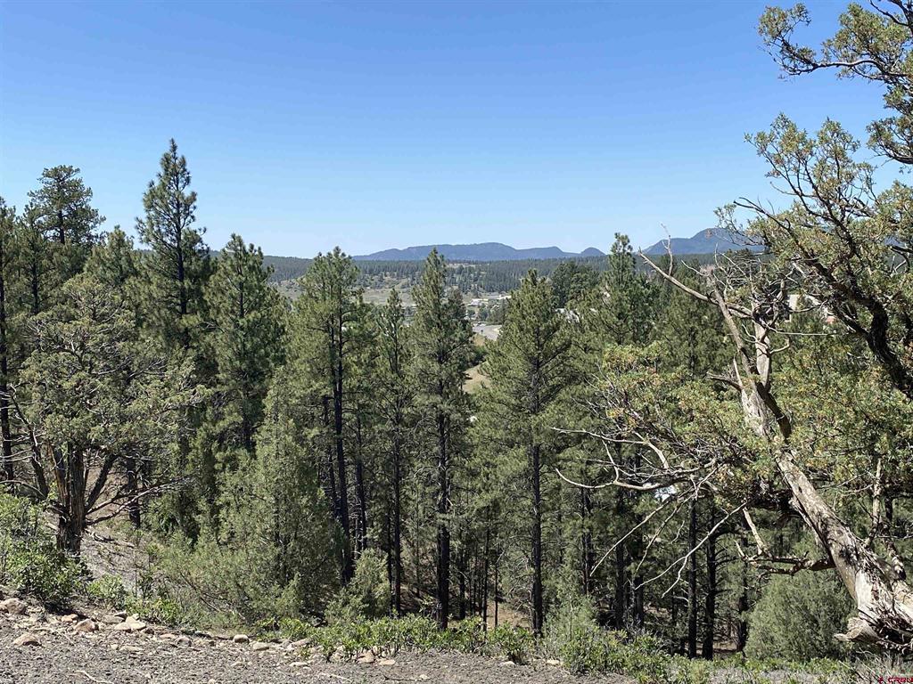 X Cr 200 Pagosa Springs CO 81147