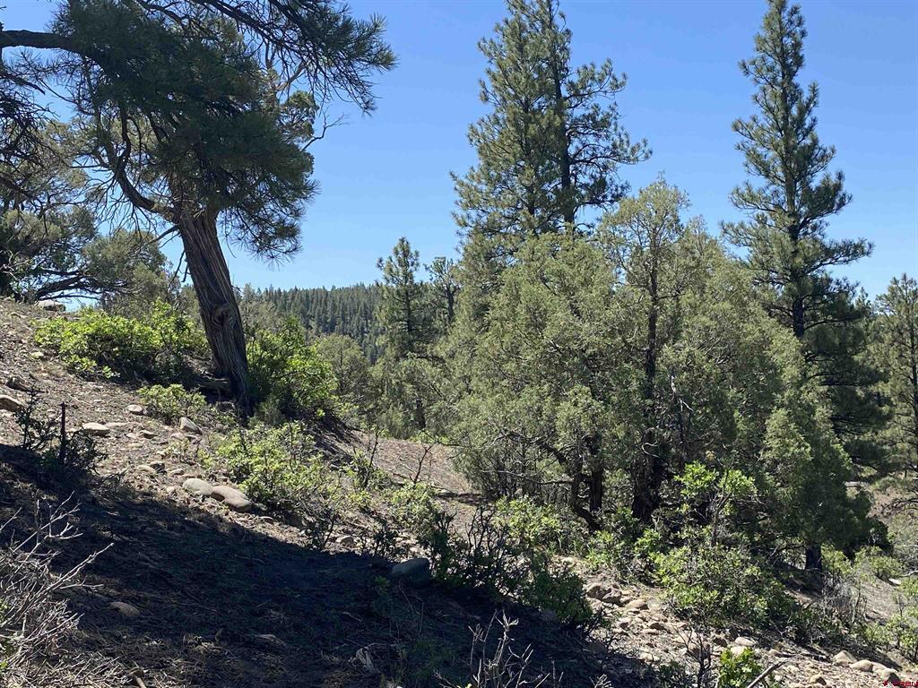 X Cr 200 Pagosa Springs CO 81147