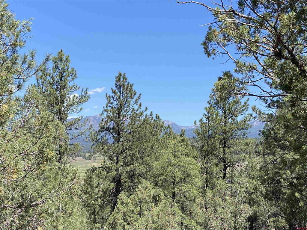 X Cr 200 Pagosa Springs CO 81147