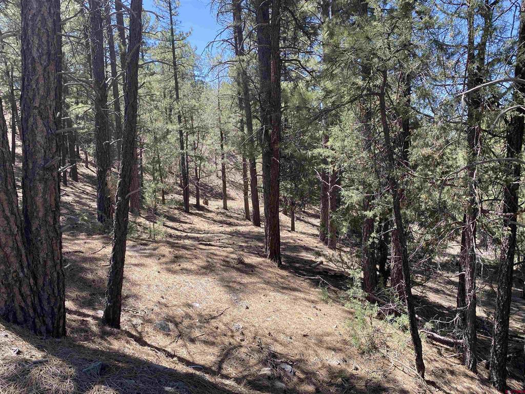 X Cr 200 Pagosa Springs CO 81147
