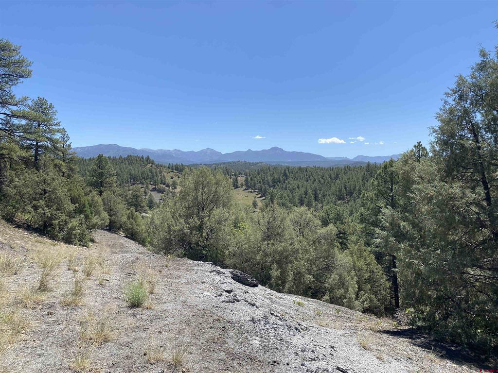 X Cr 200 Pagosa Springs CO 81147