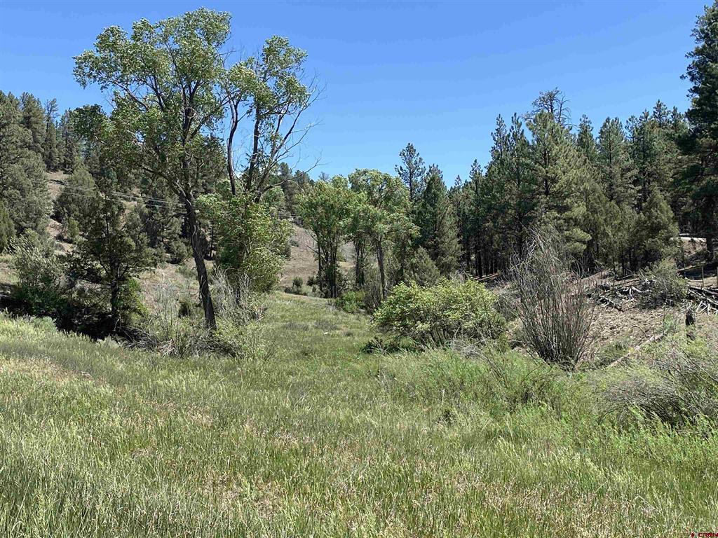 X Cr 200 Pagosa Springs CO 81147