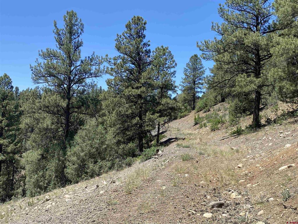 X Cr 200 Pagosa Springs CO 81147