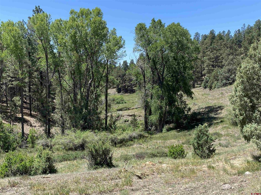 X Cr 200 Pagosa Springs CO 81147