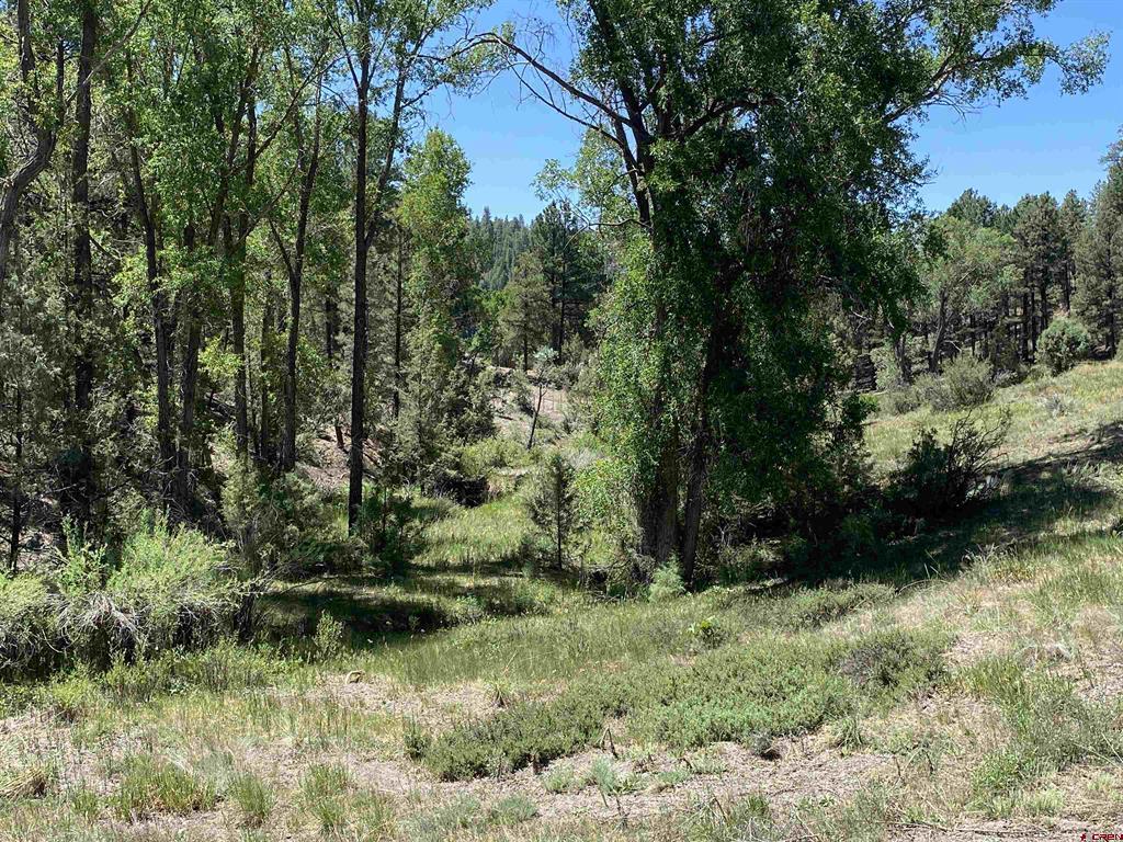 X Cr 200 Pagosa Springs CO 81147