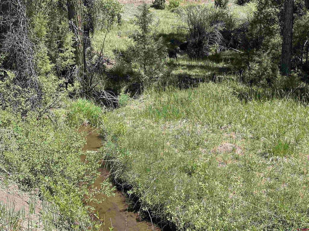 X Cr 200 Pagosa Springs CO 81147