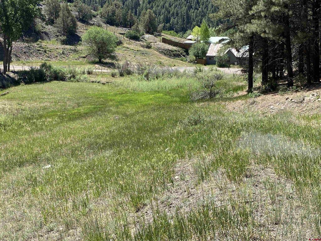 X Cr 200 Pagosa Springs CO 81147