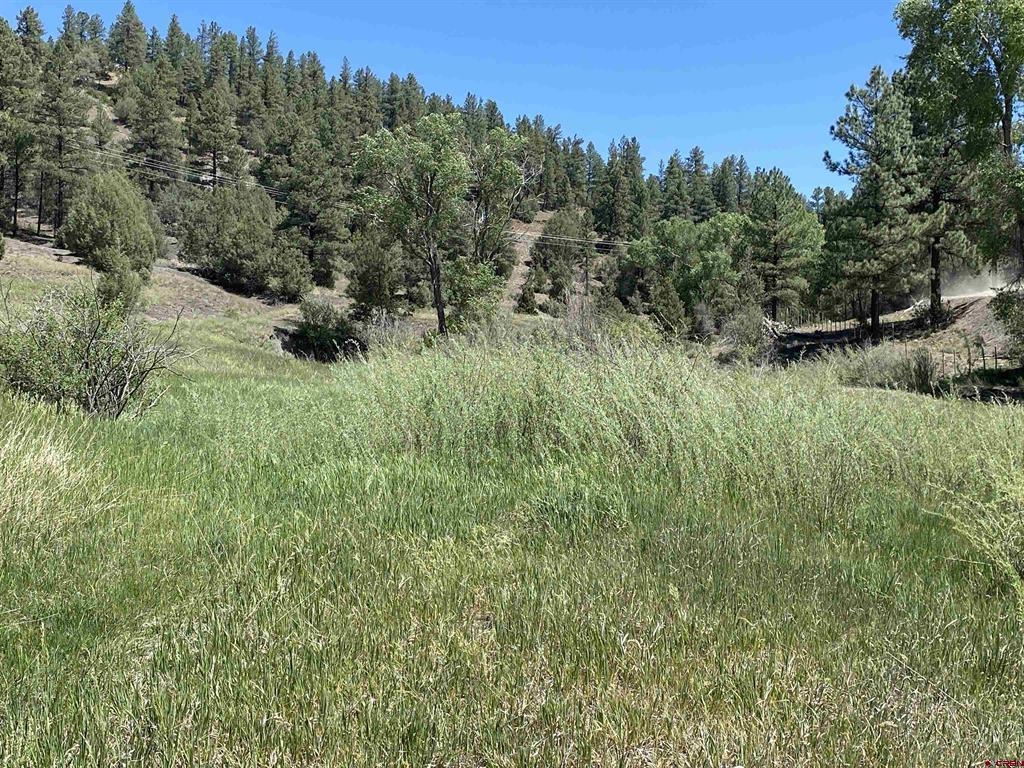 X Cr 200 Pagosa Springs CO 81147