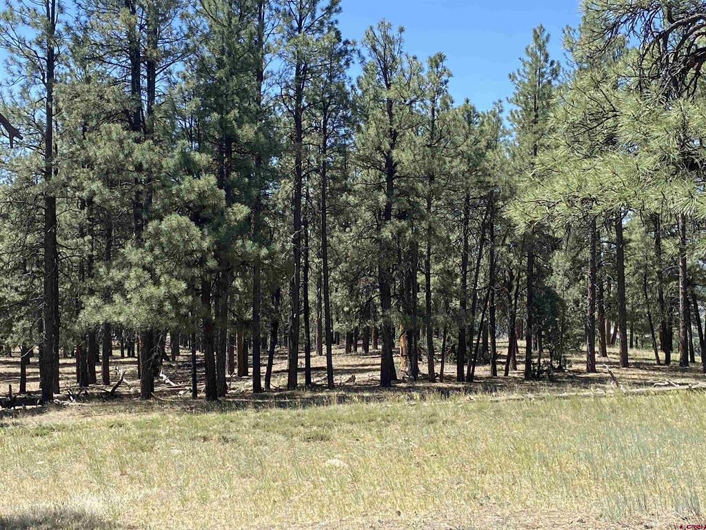 X Cr 200 Pagosa Springs CO 81147
