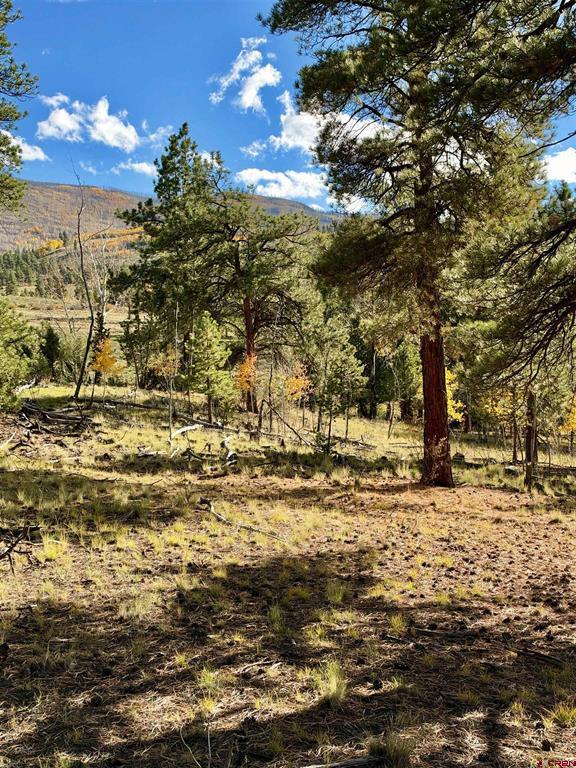 1228 Escondida Drive South Fork CO 81154
