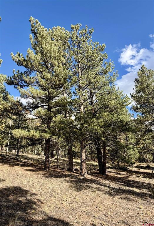 1228 Escondida Drive South Fork CO 81154