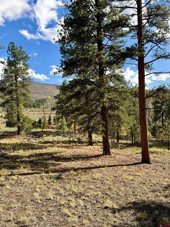 1228 Escondida Drive South Fork CO 81154