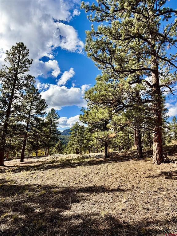 1228 Escondida Drive South Fork CO 81154