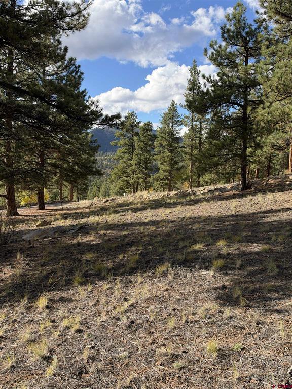 1228 Escondida Drive South Fork CO 81154