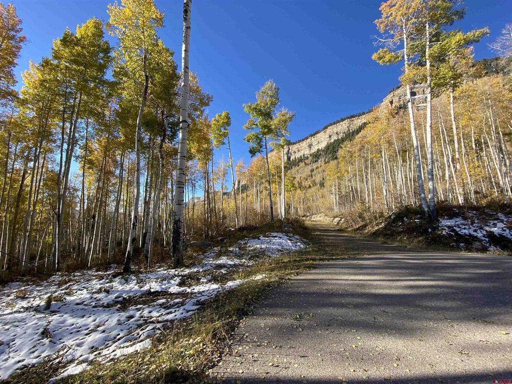 311 Wilshire Drive Durango CO 81301